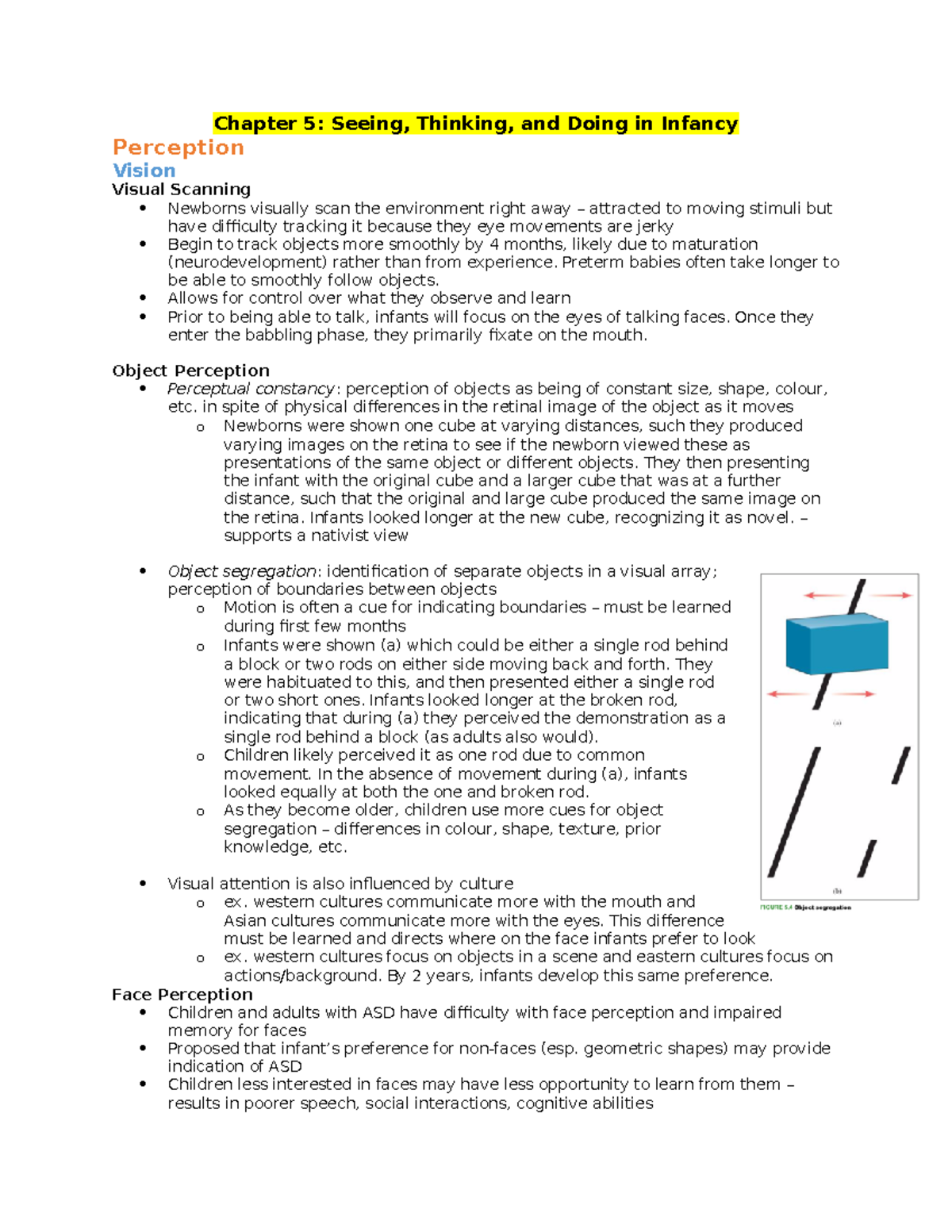 How Children Develop Textbook Notes Chapters 5 - Chapter 5: Seeing ...