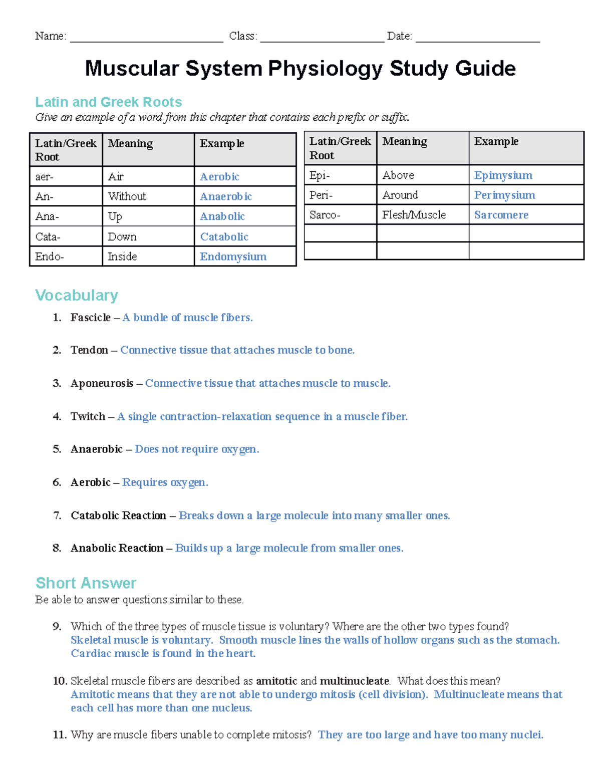 Muscular System Physiology Study Guide KEY - Name ...