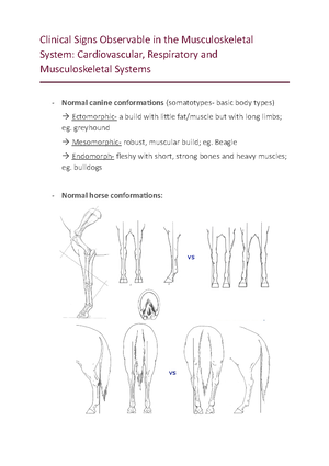 Comparative Structures of Lungs, airway and pleura CRMS - Comparative ...
