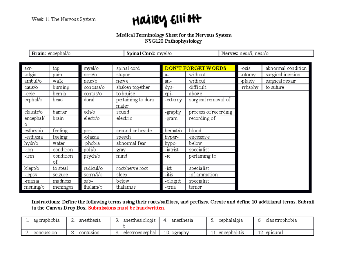 Module 11 - HERZING UNIVERSITY - Week 11 The Nervous System Medical ...