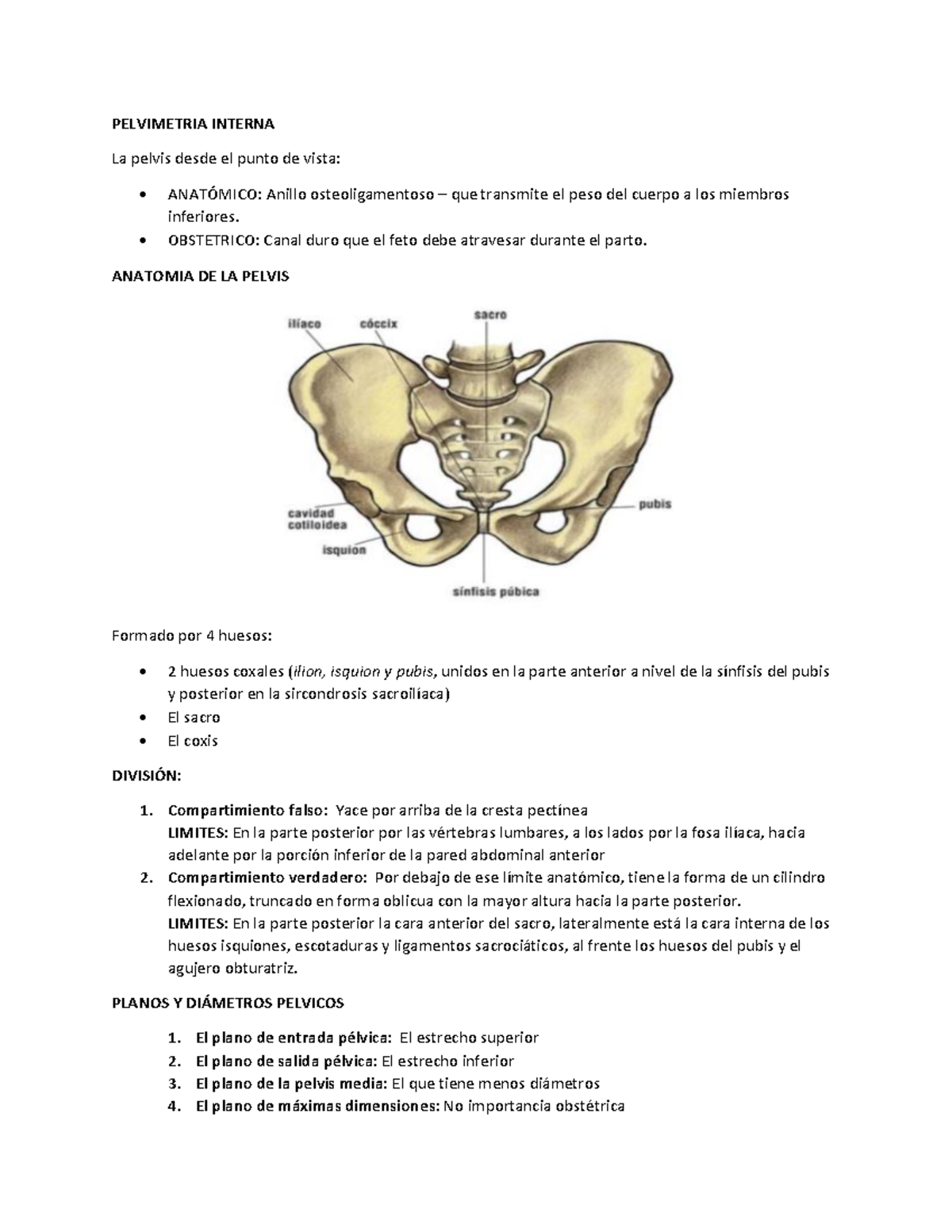 Pelvimetria Interna - PELVIMETRIA INTERNA La pelvis desde el punto de ...