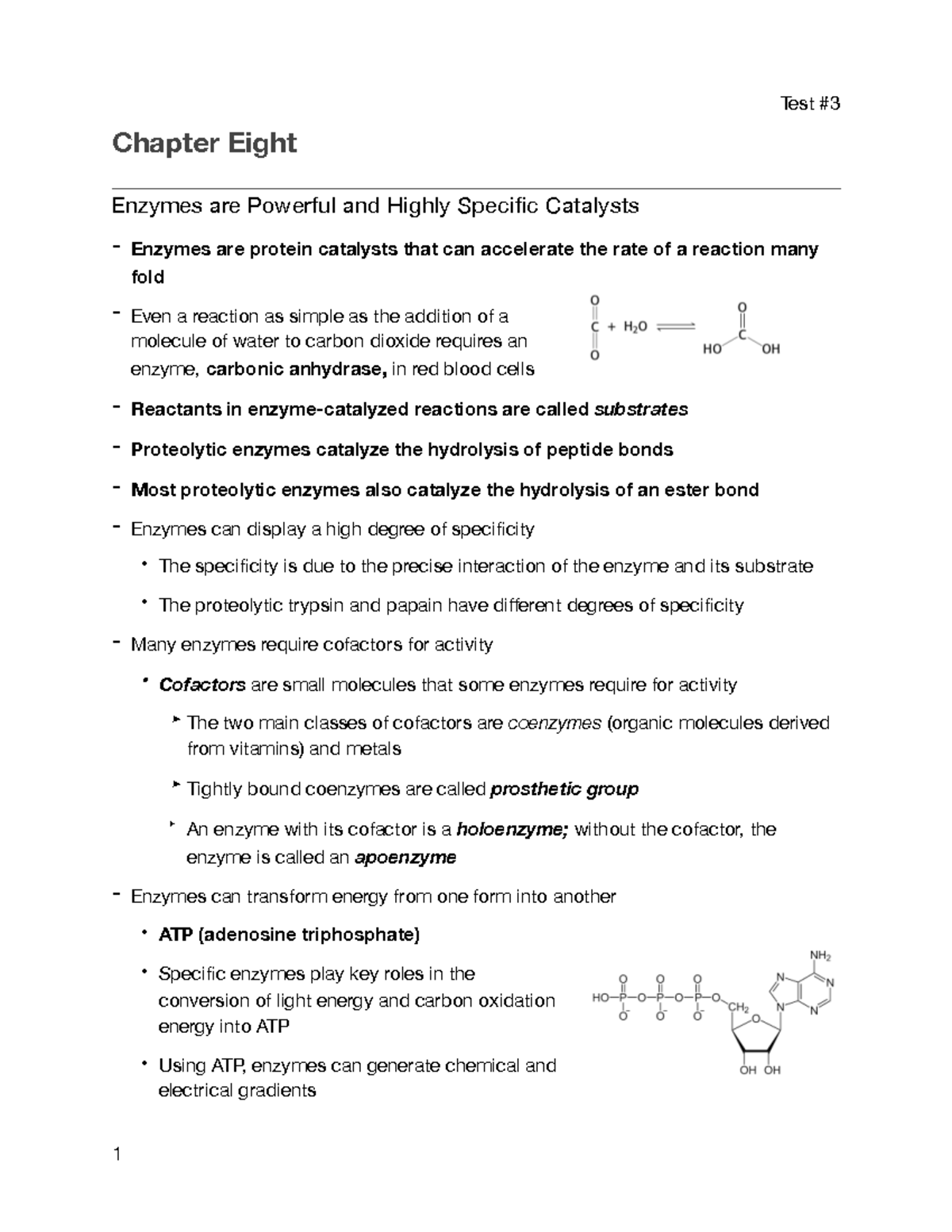 Chapter 8 biochem Test 3 Chapter Eight Enzymes are Powerful and