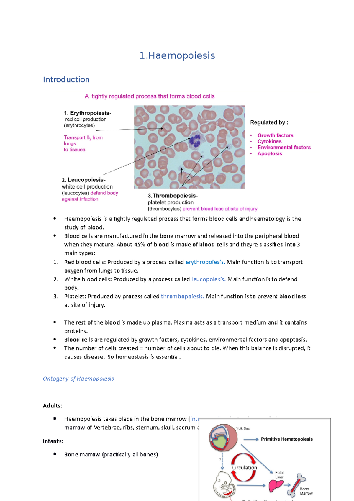 Haematology notes final - 1 Introduction Haemopoiesis is a tightly ...