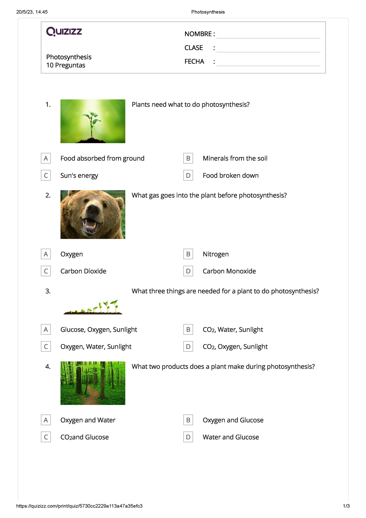 photosynthesis critical thinking questions answers