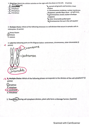 Biology Lab Quiz - BSC 1005L - Studocu