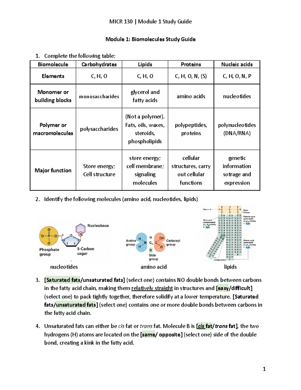 Module 1 Biomolecules Study Guide - MICR 130 | Module 1 Study Guide