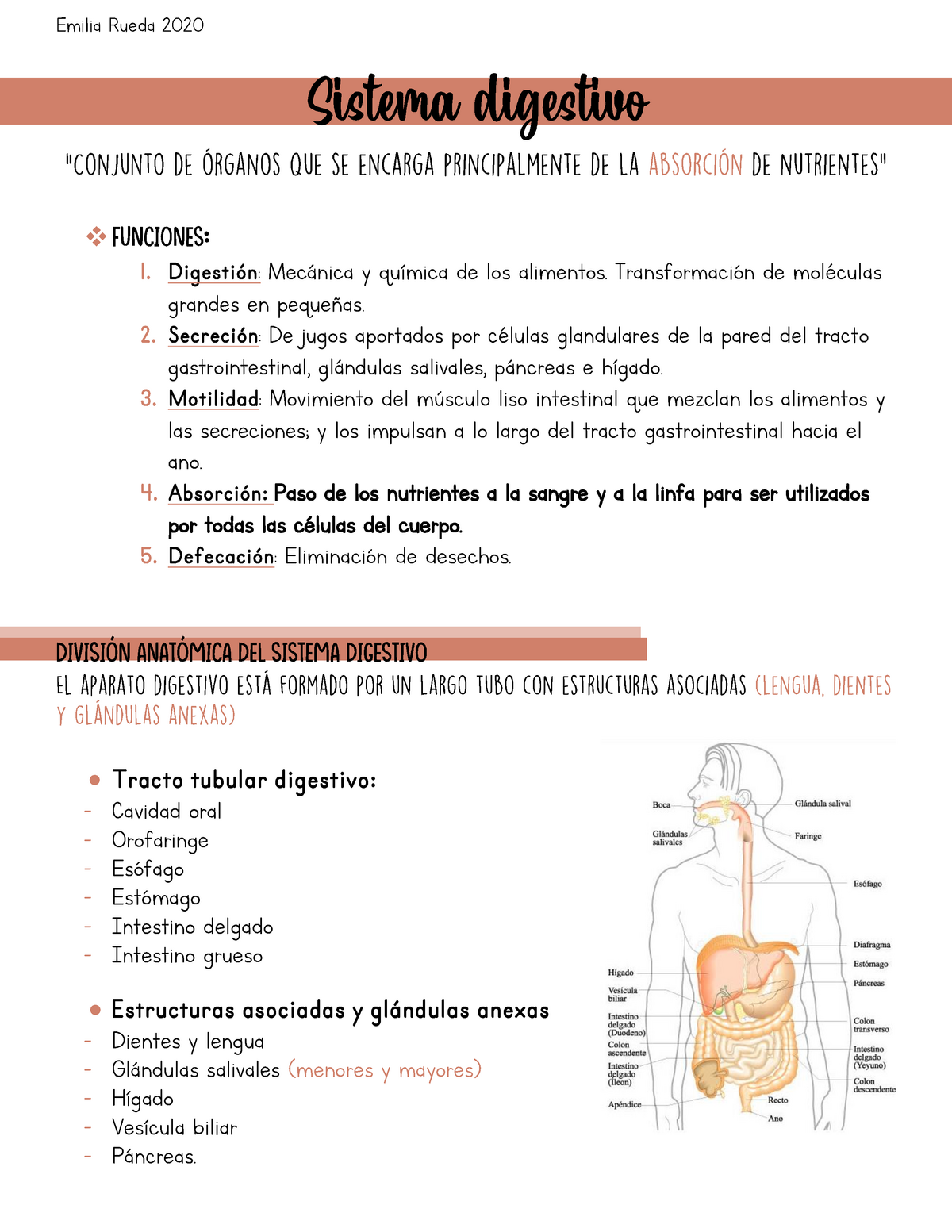 Universidad Nacional De La Plata Resumen Histologia Sistema Digestivo Digesti N Mec Nica