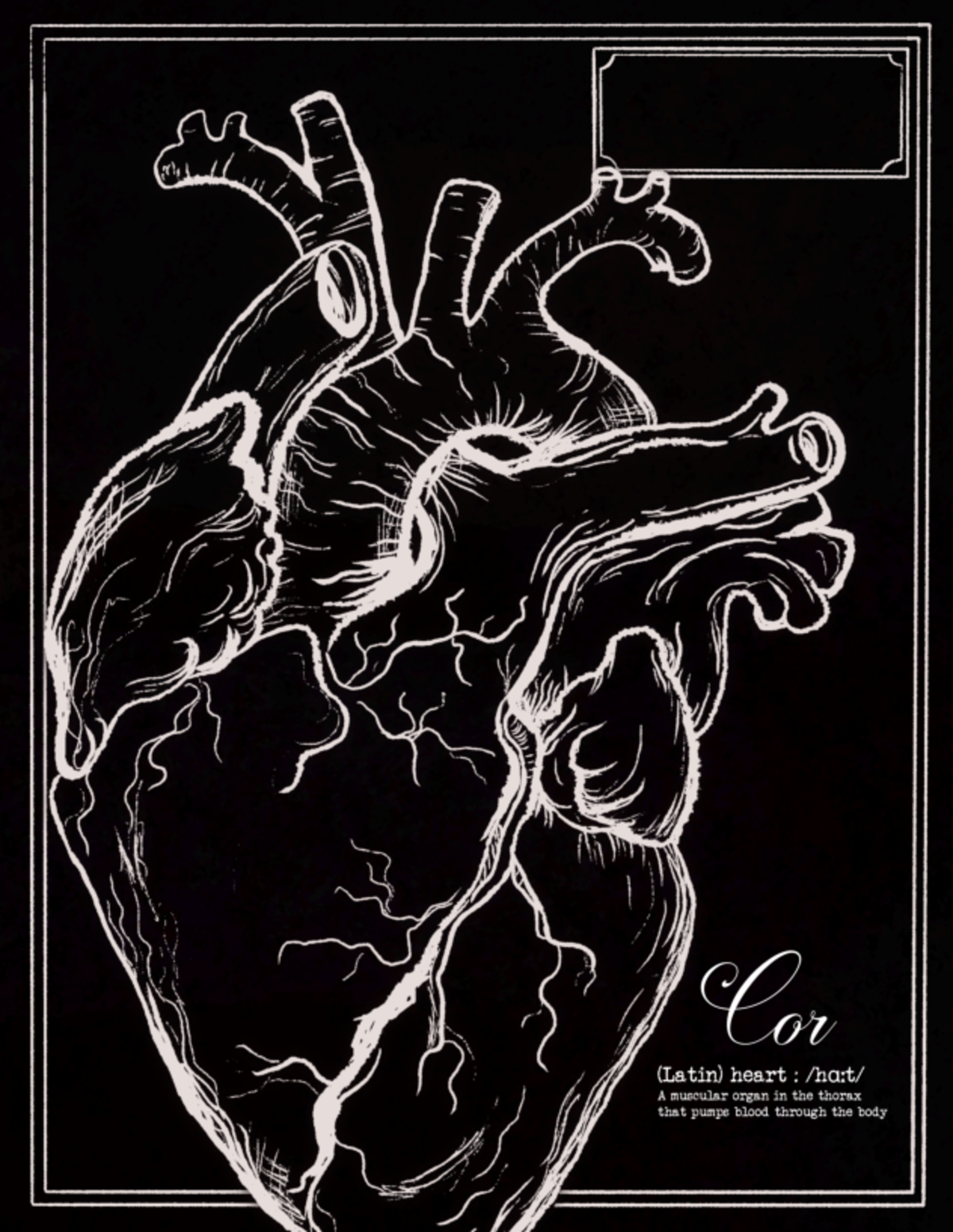 Conjunto de portadas Cor-Nephros - FIN 320 - Cor (Latin) heart : A ...