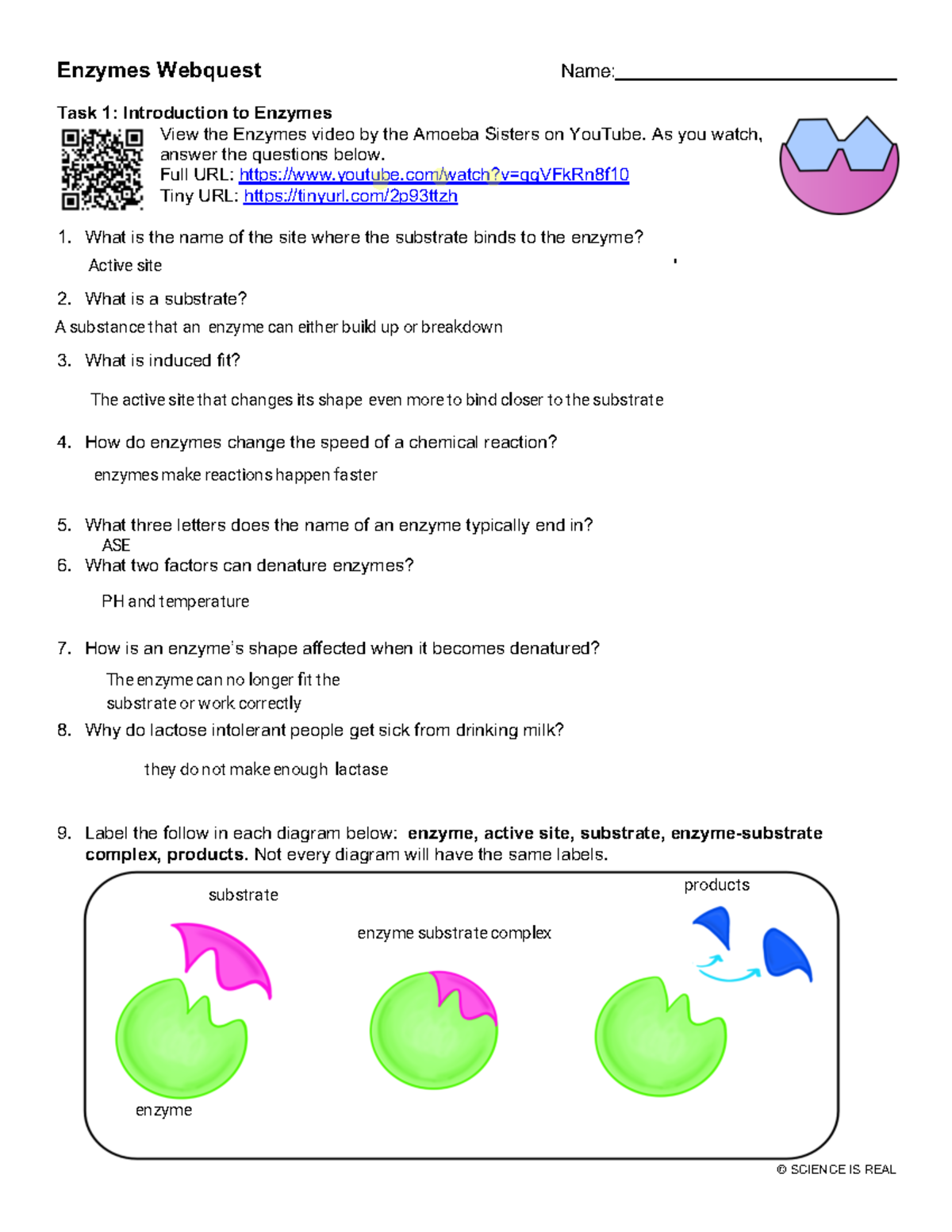 Kami Export Bri'ajah CraddockPillow Enzymes quest Student
