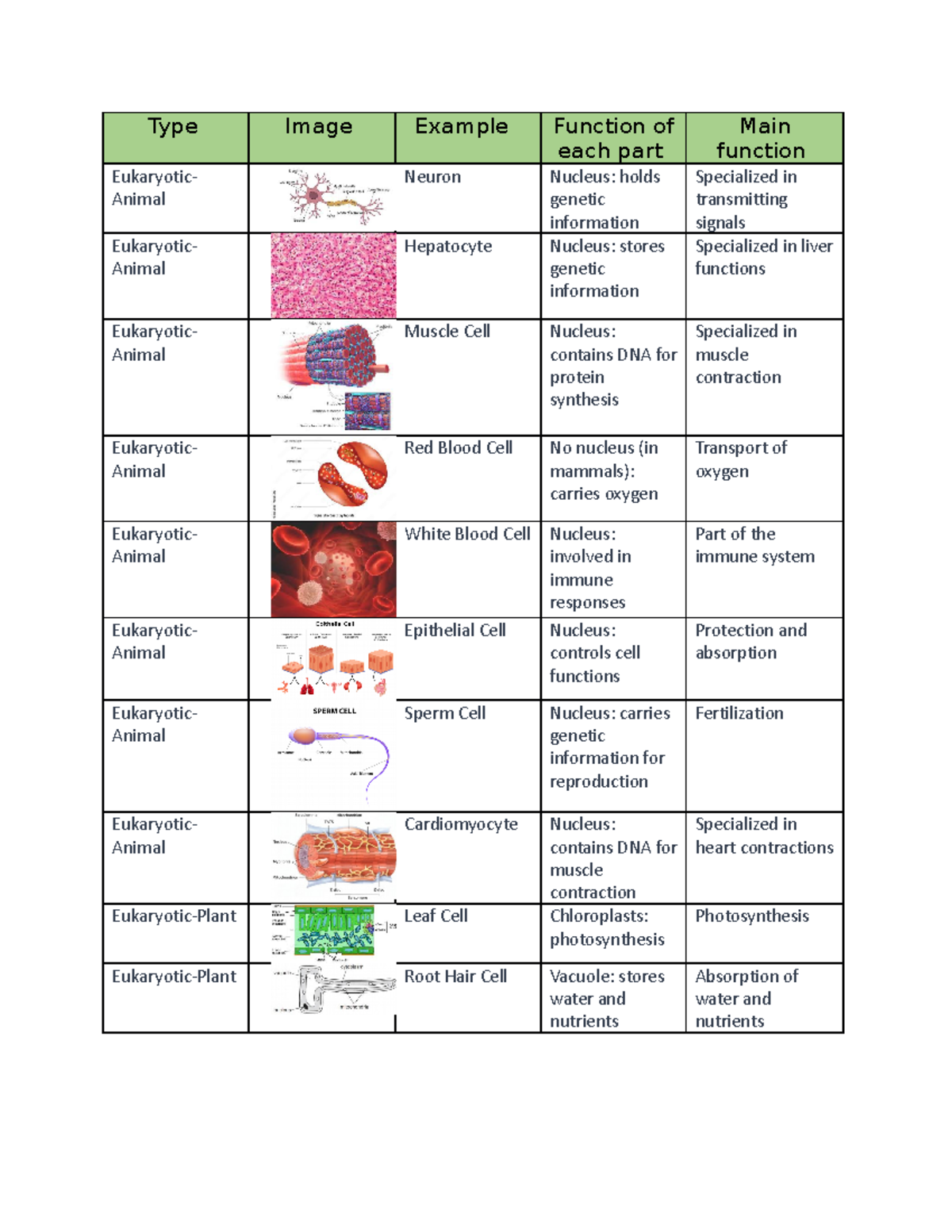 Exercise 3 Life Science - Type Image Example Function of each part Main ...