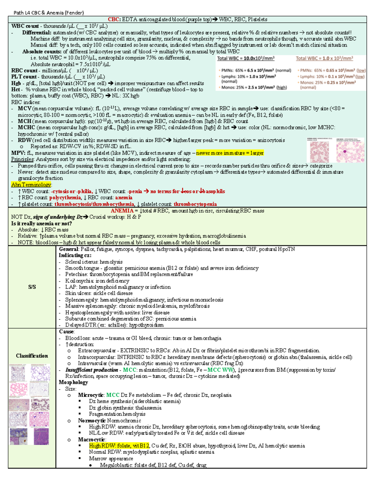 Path L4 CBC Anemia - Path L4 CBC & Anemia (Fender) CBC: EDTA ...