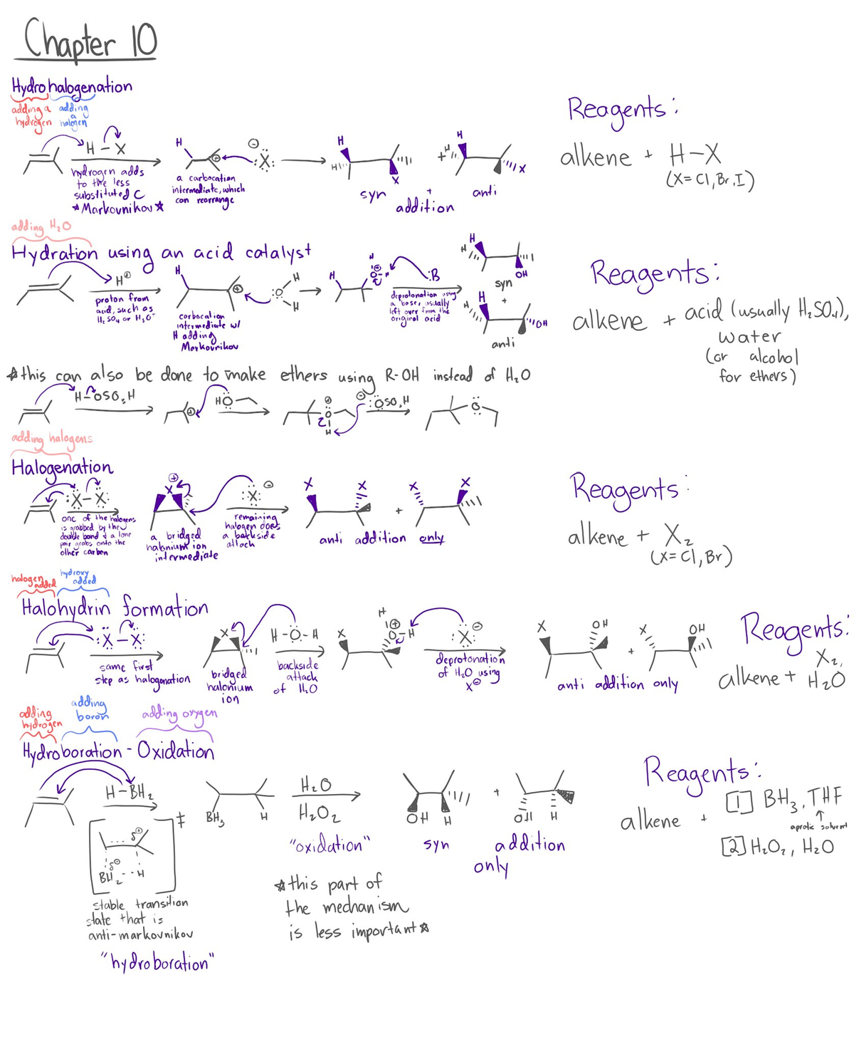 Alkene Reactions - CHM 2210 - Studocu