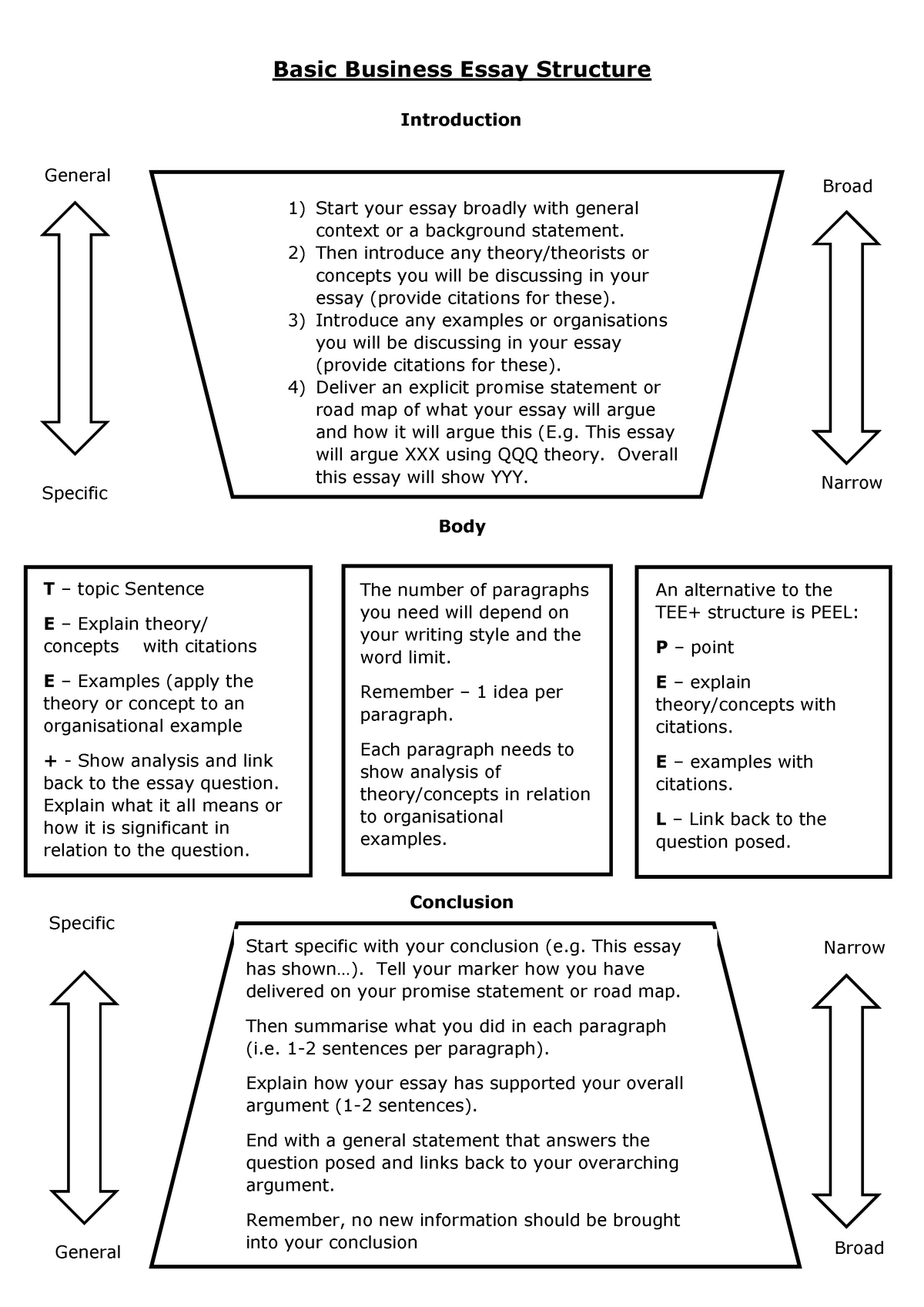 Business paper: Essays structure