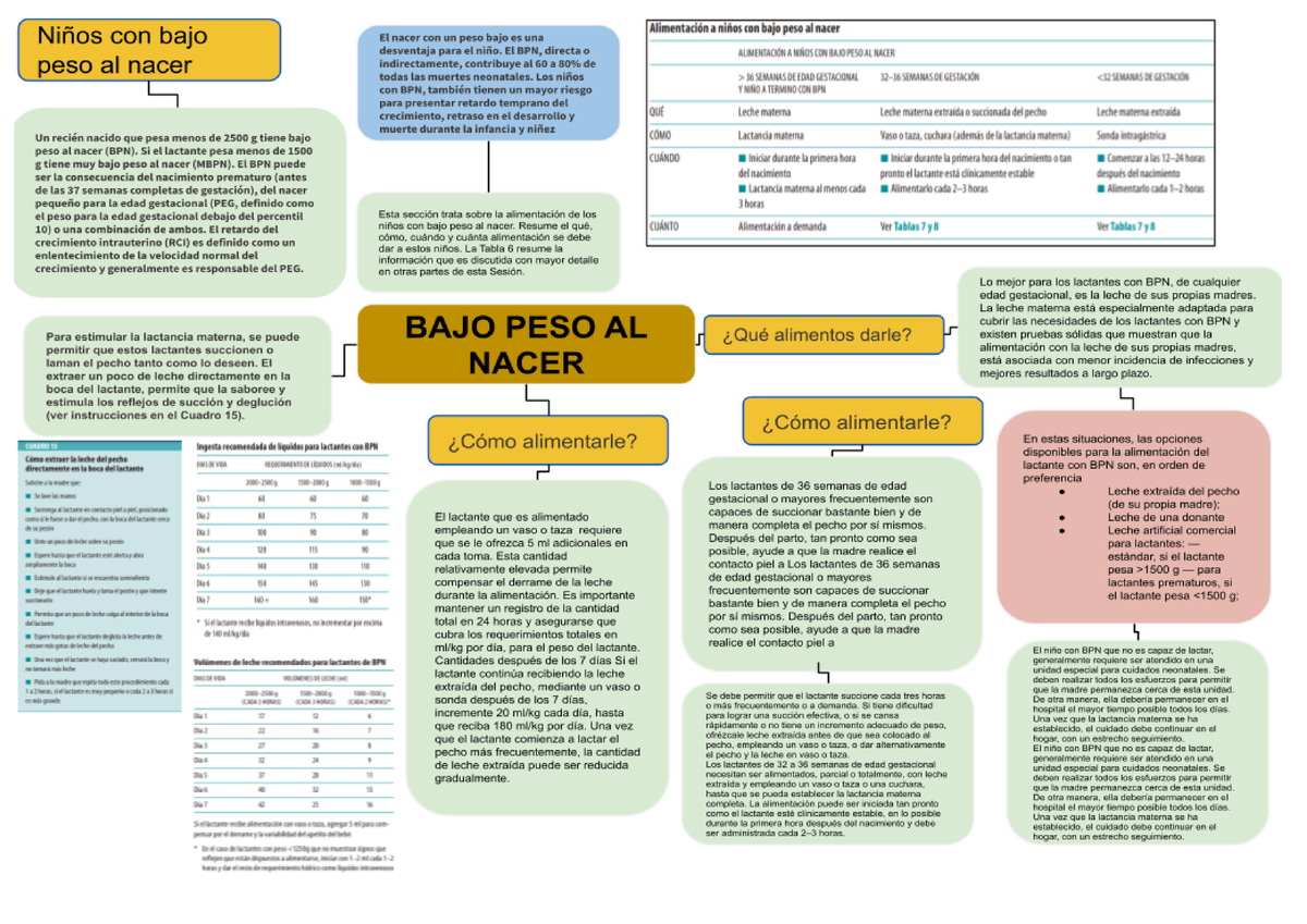 Mapa Mental Bajo Peso Al Nacer Yhamilcruz Fernandez Pediatria Studocu