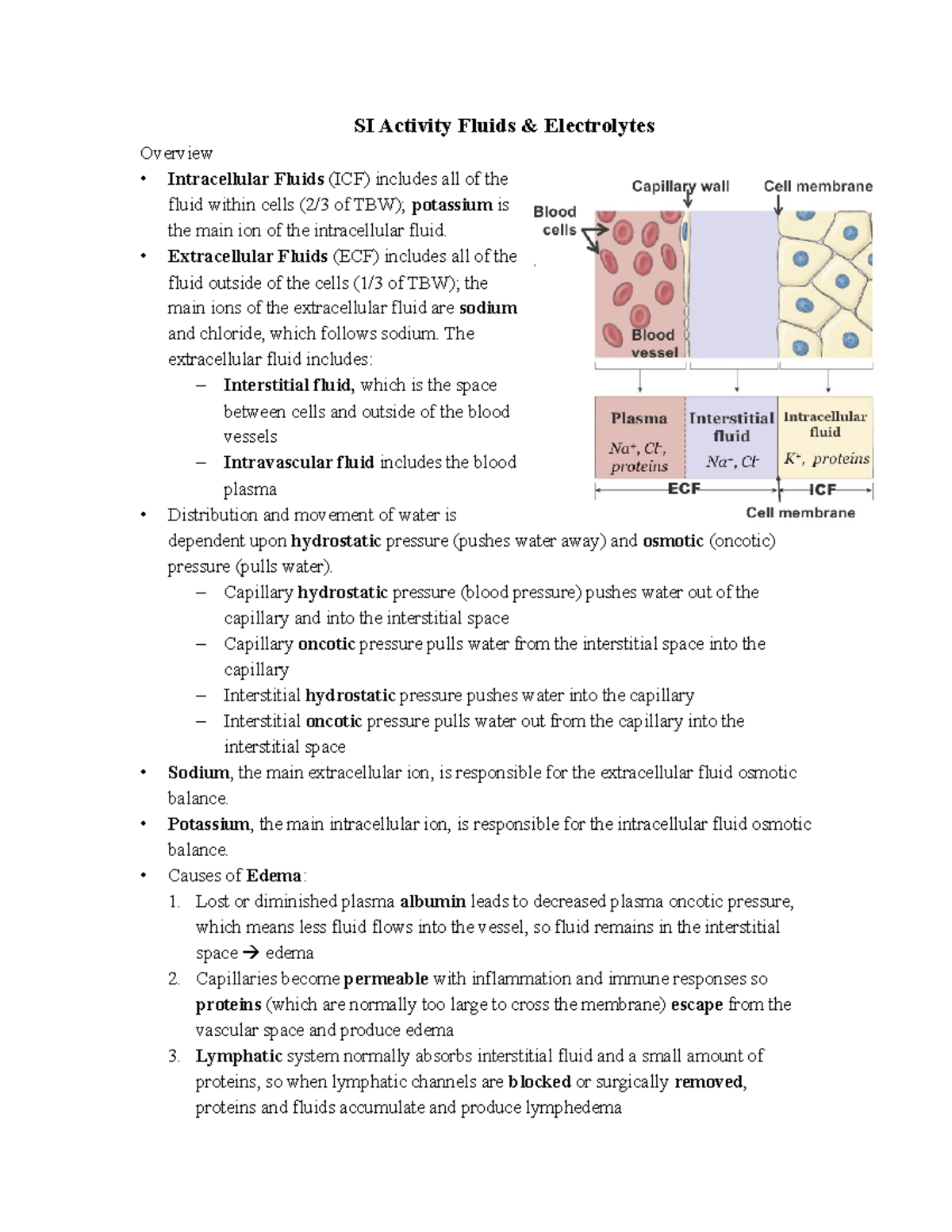 Fluids and Electrolytes SI Activity KEY-1 - SI Activity Fluids ...