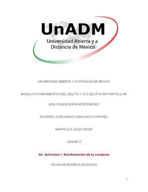 PRINCIPIOS DEL SISTEMA ACUSATORIO Y EL JUICIO ORAL EN MÉXICO ...