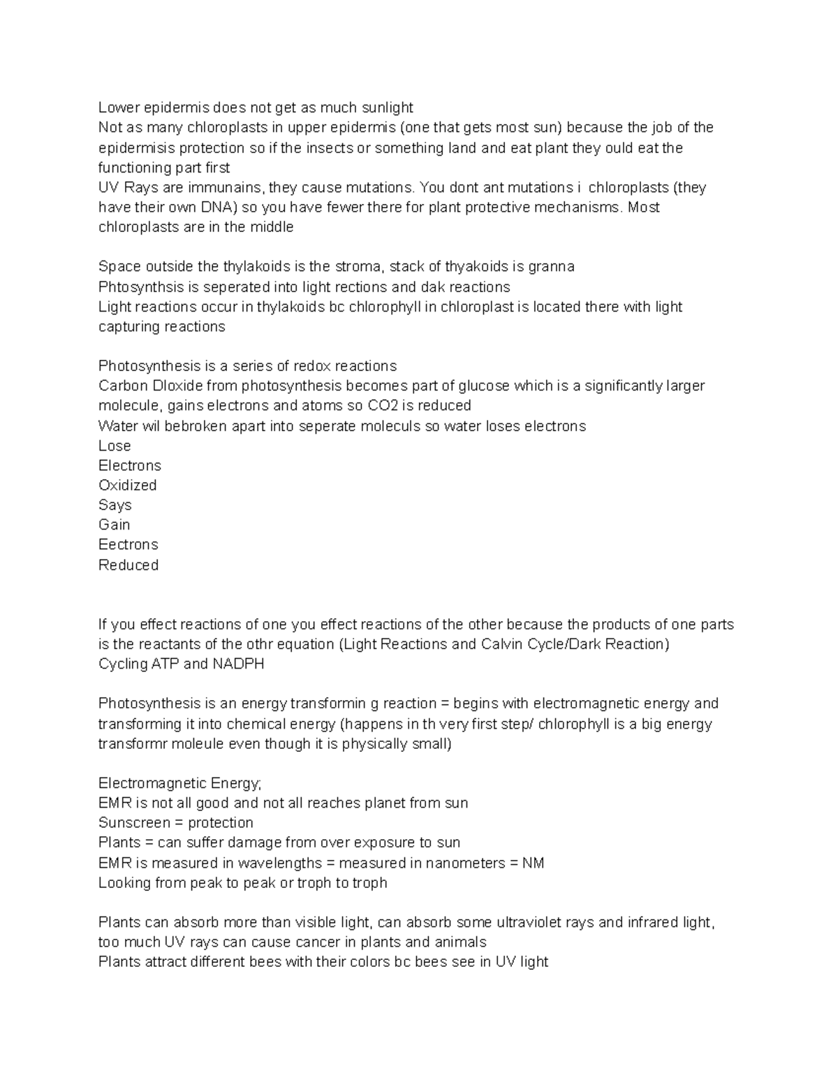 Plant and Photo notes to go with diagram - Lower epidermis does not get ...