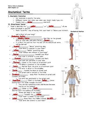 Anatomical Terms Fill in Worksheet A P Chapter 1 Anatomical Terms I