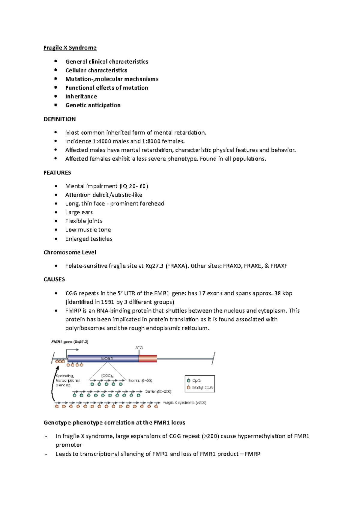 Molecular Medicine Week 5 - Fragile X Syndrome - Fragile X Syndrome ...