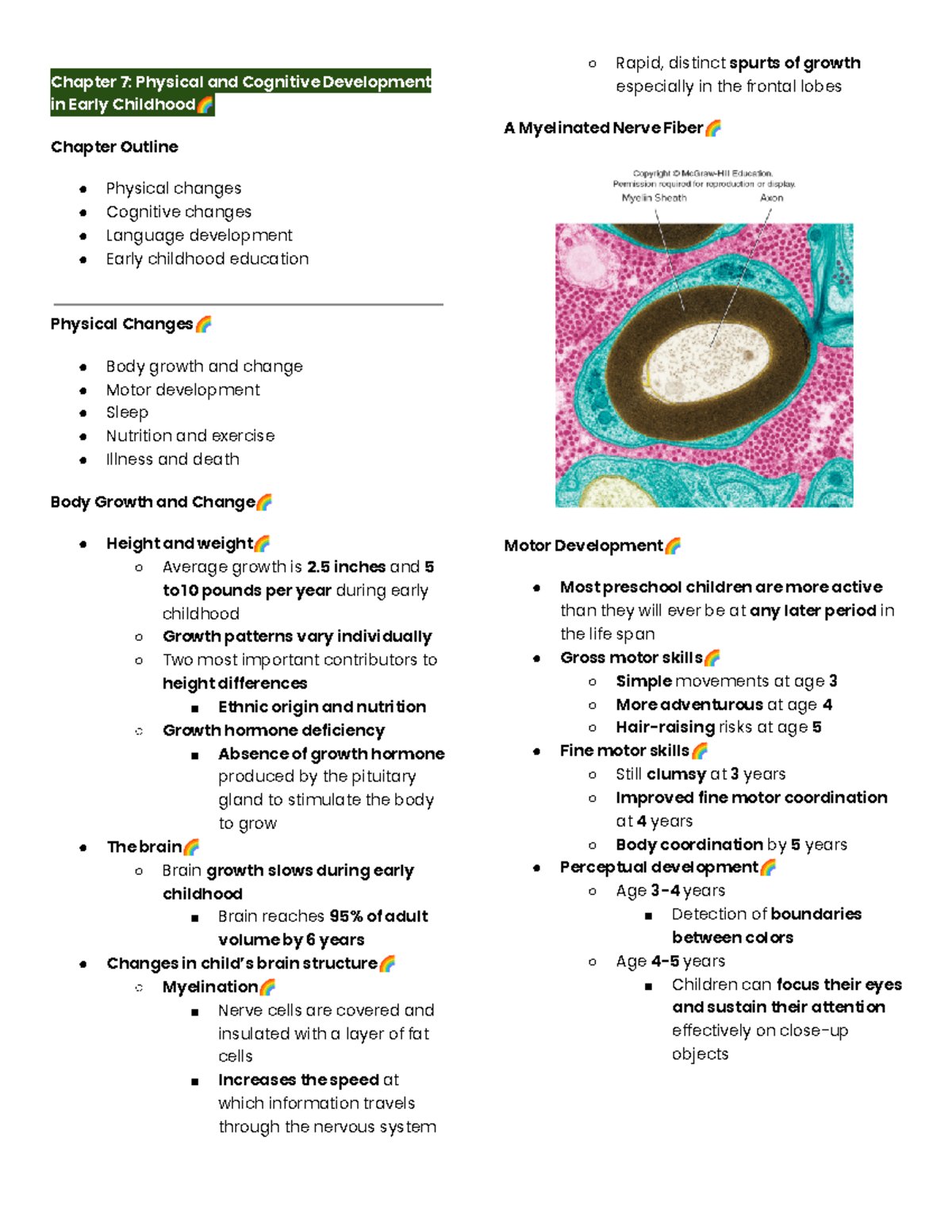 Devpsych Early Childhood - Chapter 7: Physical and Cognitive ...