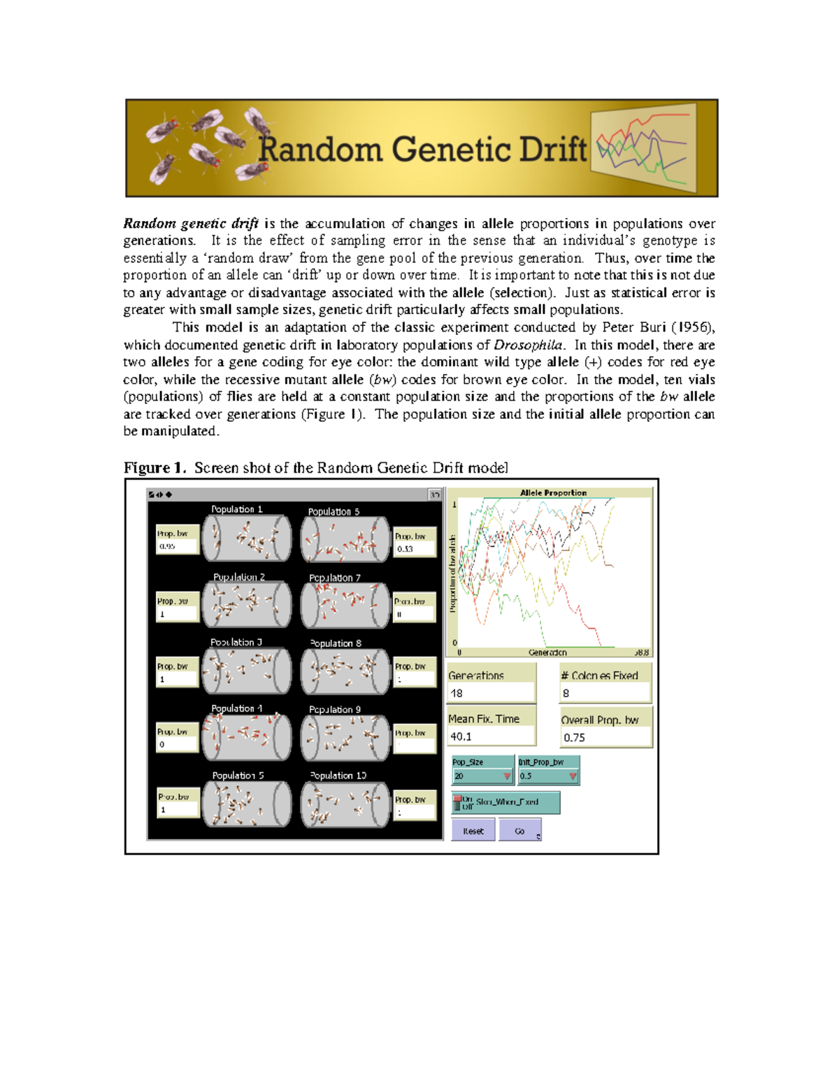 random-genetic-drift-directions-random-genetic-drift-is-the