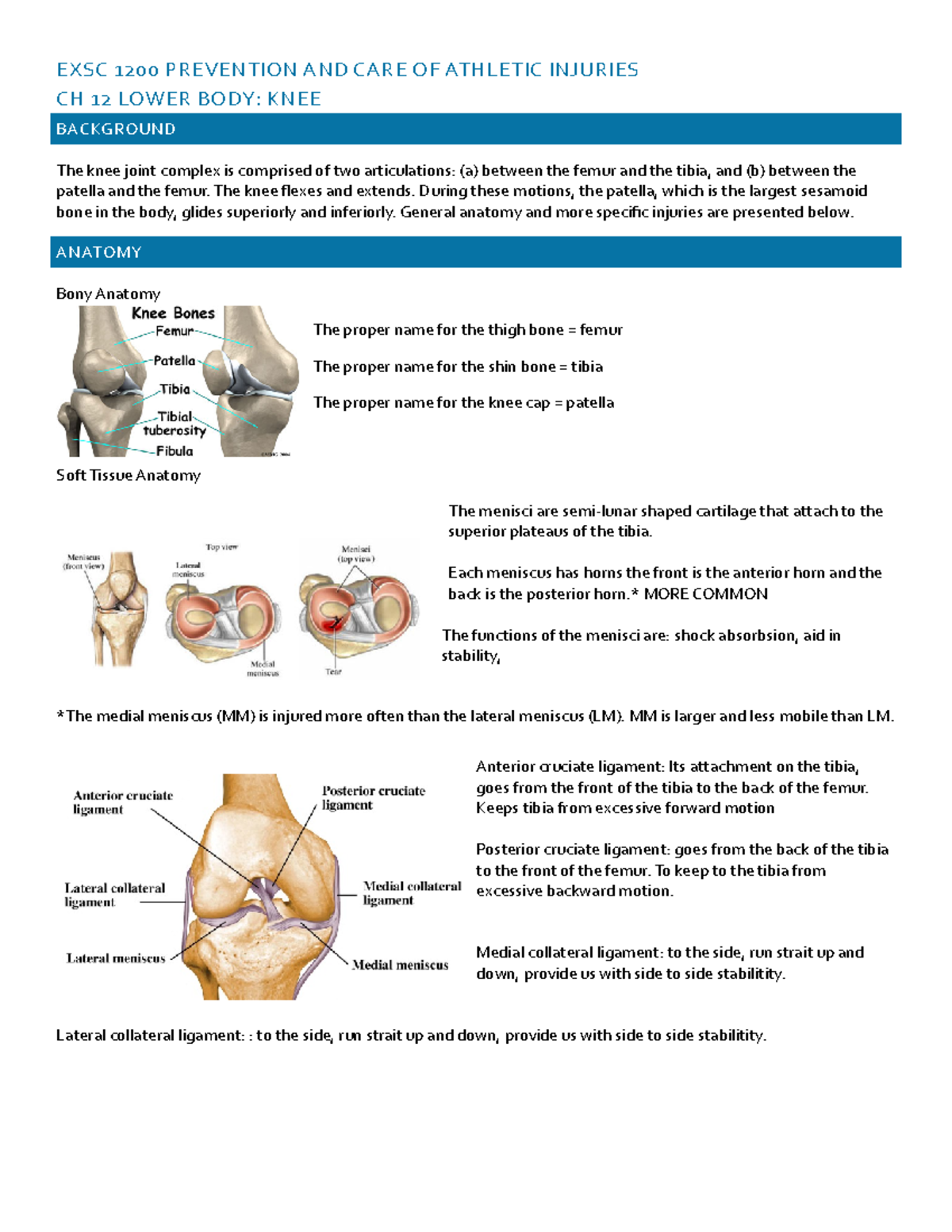 EXSC 1200 CH 12 Knee - EXSC 1200 PREVENTION AND CARE OF ATHLETIC ...