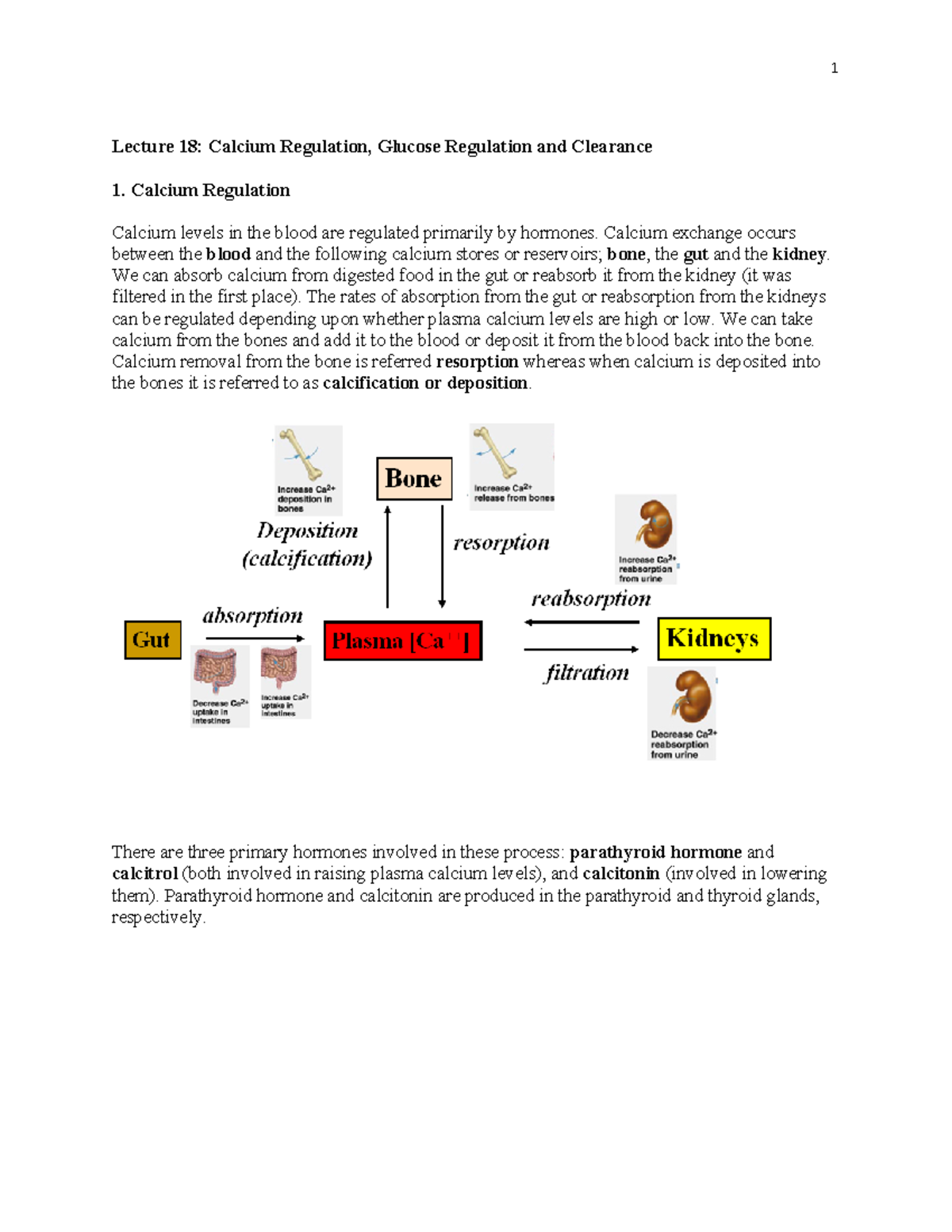 Lecture 18 Notes 2022 - Lecture 18: Calcium Regulation, Glucose ...