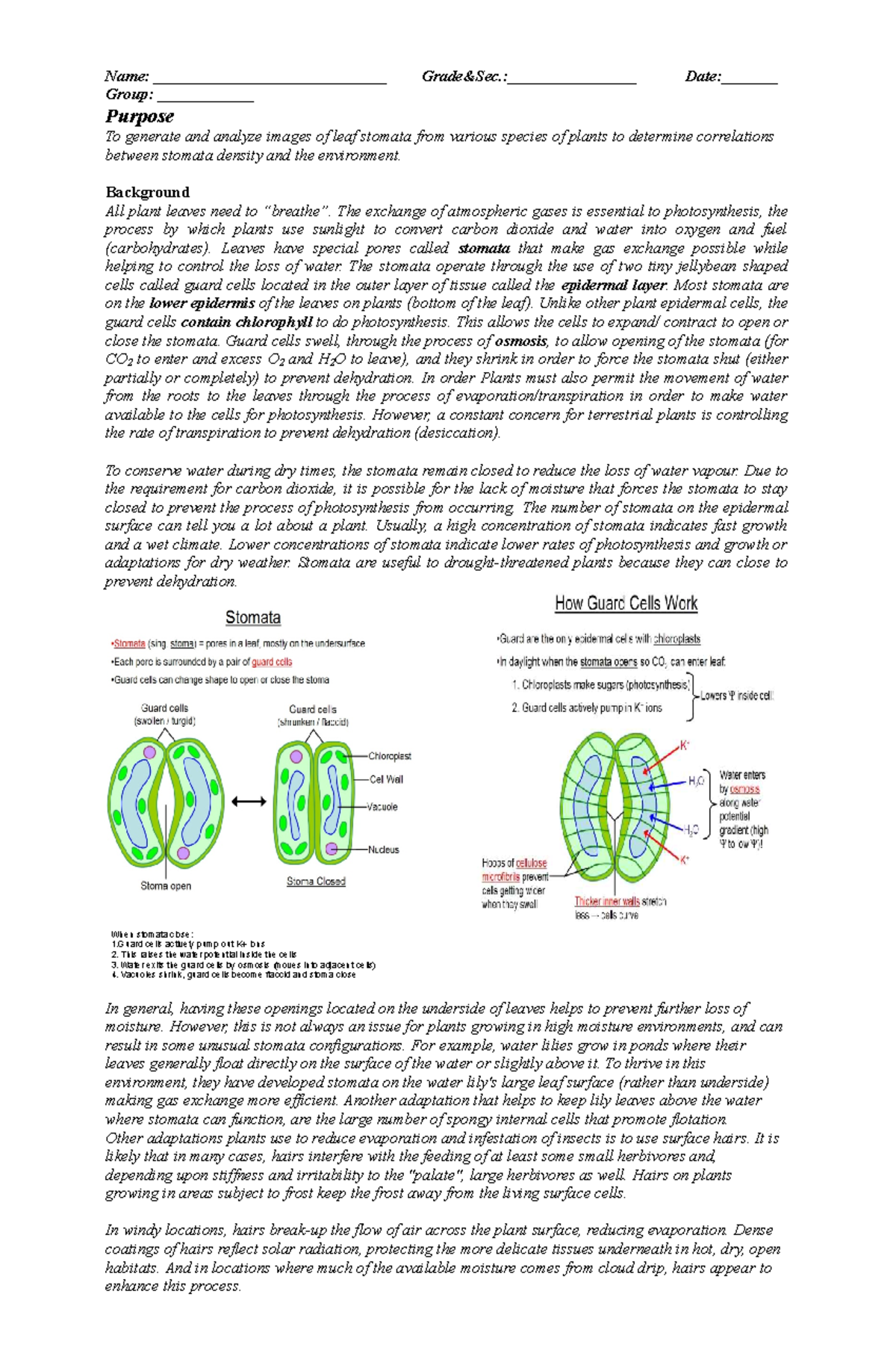 1st lab in Biology 2 - stomata - Name