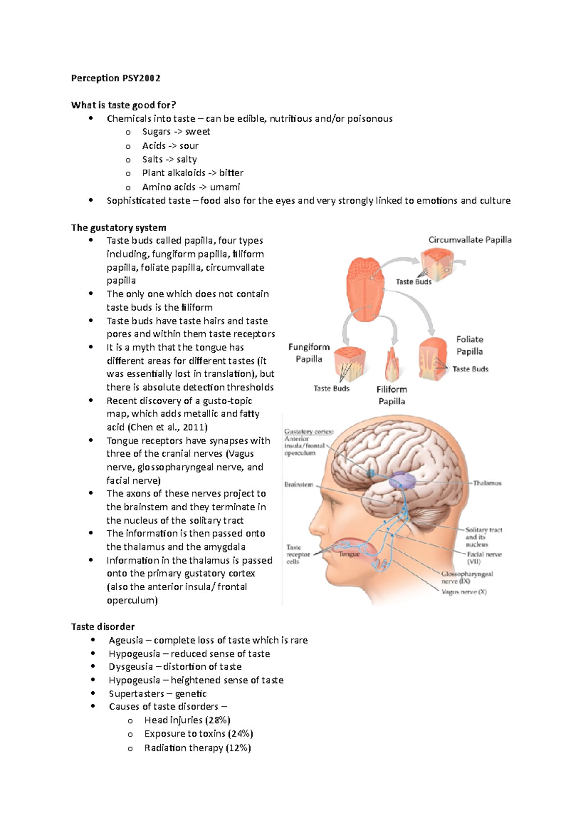 Lecture 7 - flavour - PSY2002 by Dr Gabriele Jordan. - Perception PSY ...