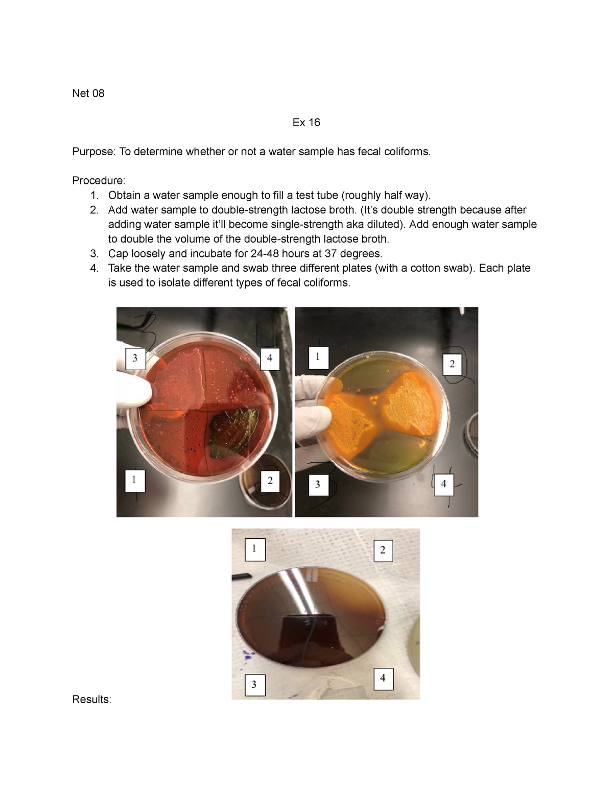 Lab 16 Chem 1552 - Net 08 Ex 16 Purpose: To Determine Whether Or Not A ...