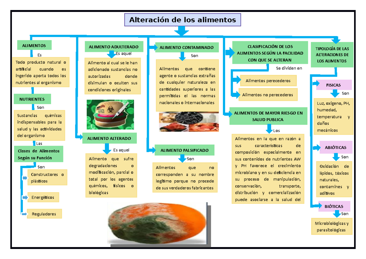 MAPA Conceptual DE Alteracion DE LOS Alimentos - Alteración de los ...