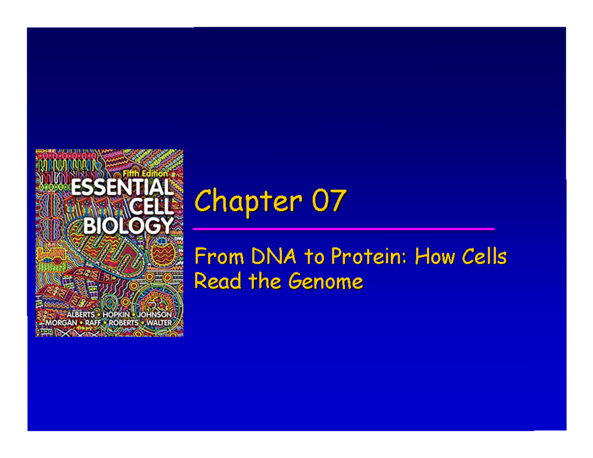 ch-7-these-notes-are-from-the-ch-7-from-the-slides-chapter