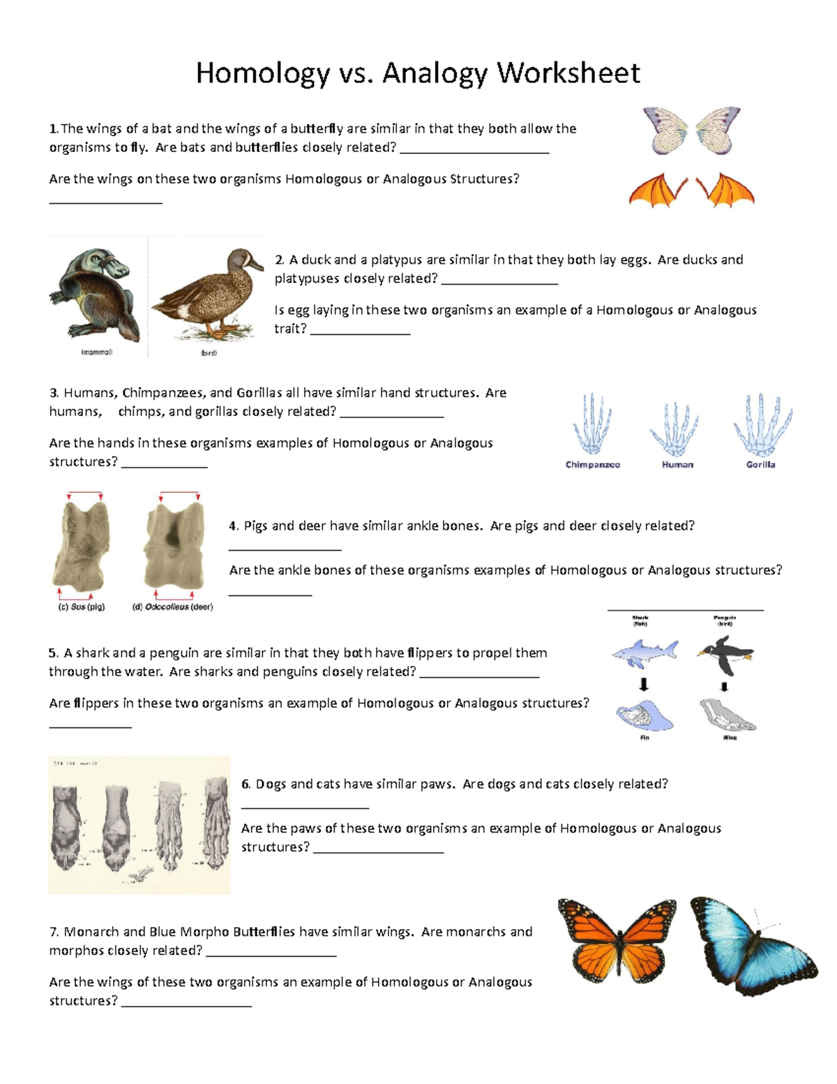 Answer Key Homologous And Analogous Structures Worksheet Answers