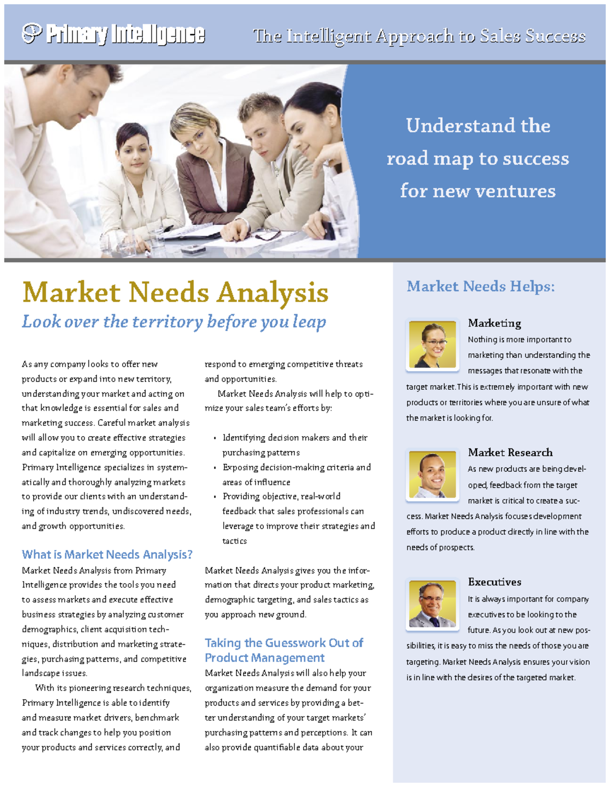 Market Needs Analysis Sample e Intelligent Approach To Sales 