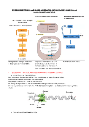 Biologie Moléculaire - Dogme De La Biomol - DU DOGME CENTRAL DE LA ...