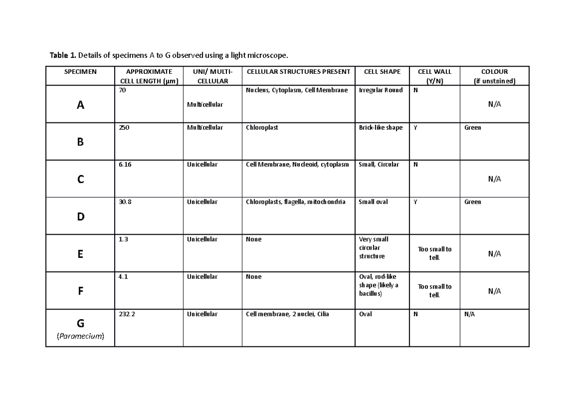 Cellular Observation Table - Table 1. Details of specimens A to G ...