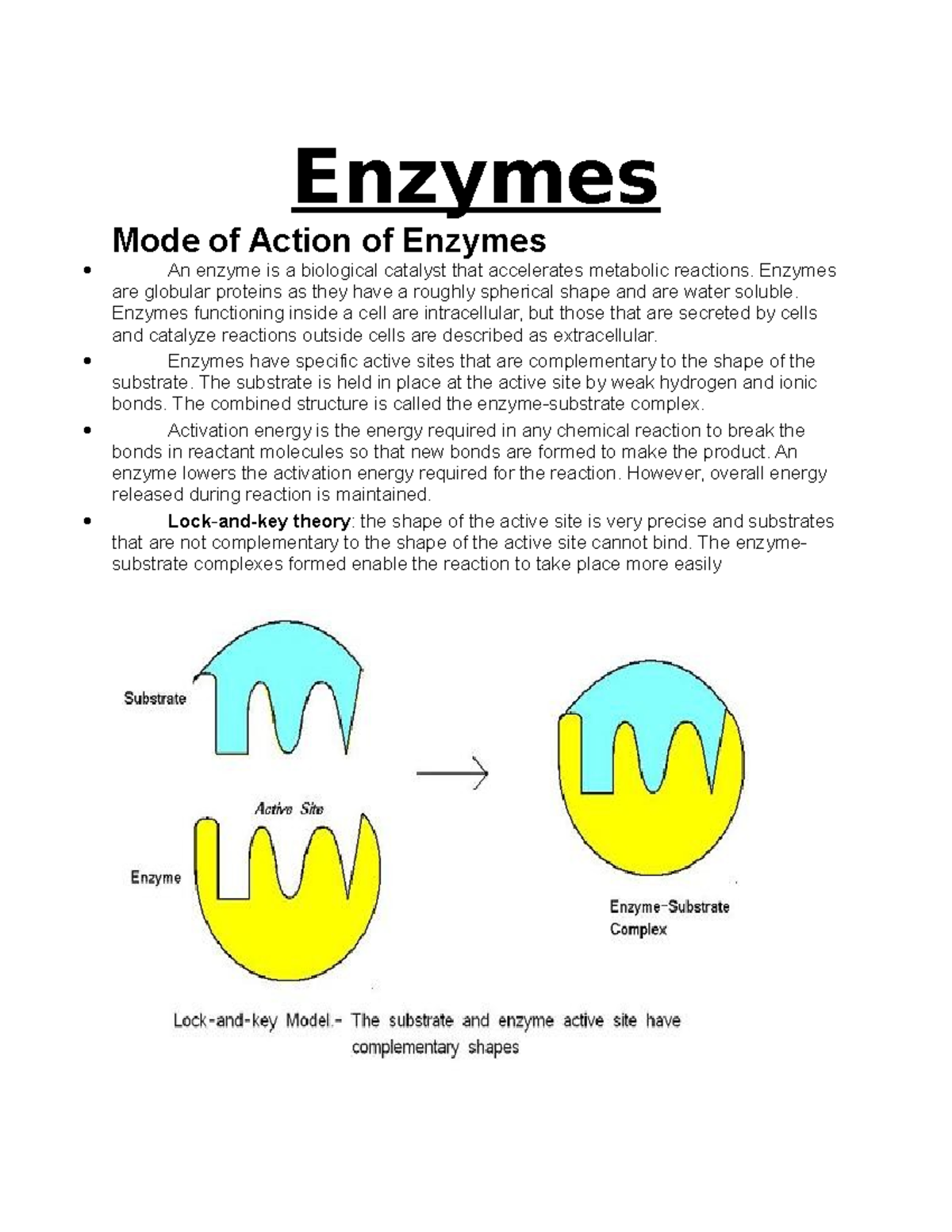 Enzymes hndnjk zkzkjckkhu Enzymes Mode of Action of Enzymes An