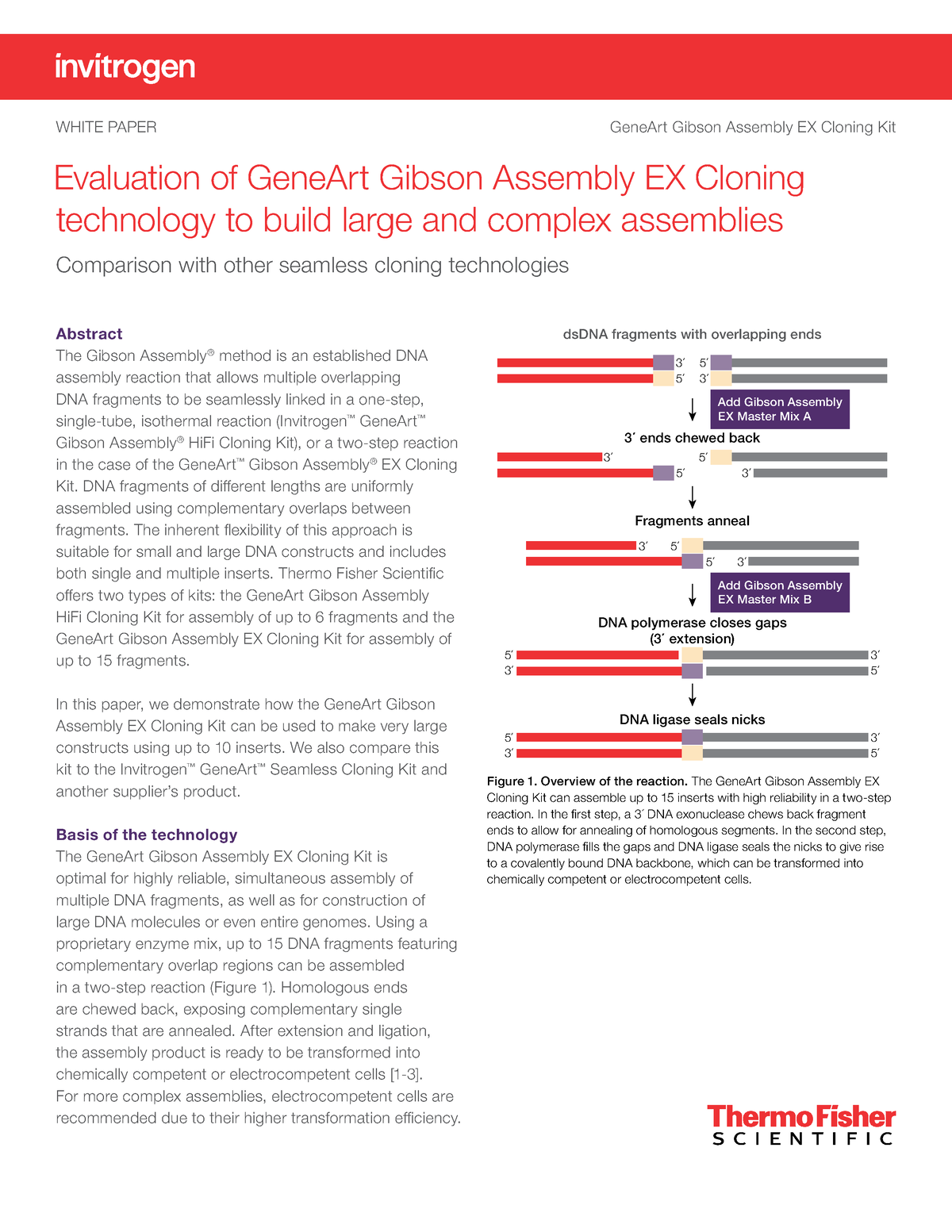 Gibson assembly ex cloning large complex assemblies white paper - WHITE ...