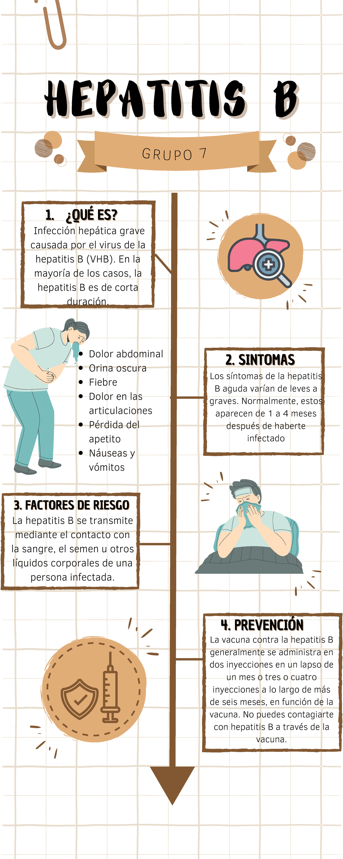 Hepatitis B Infografia - HEPATITIS BHEPATITIS B G R U P O 7 11 .. ¿QUÉ ...