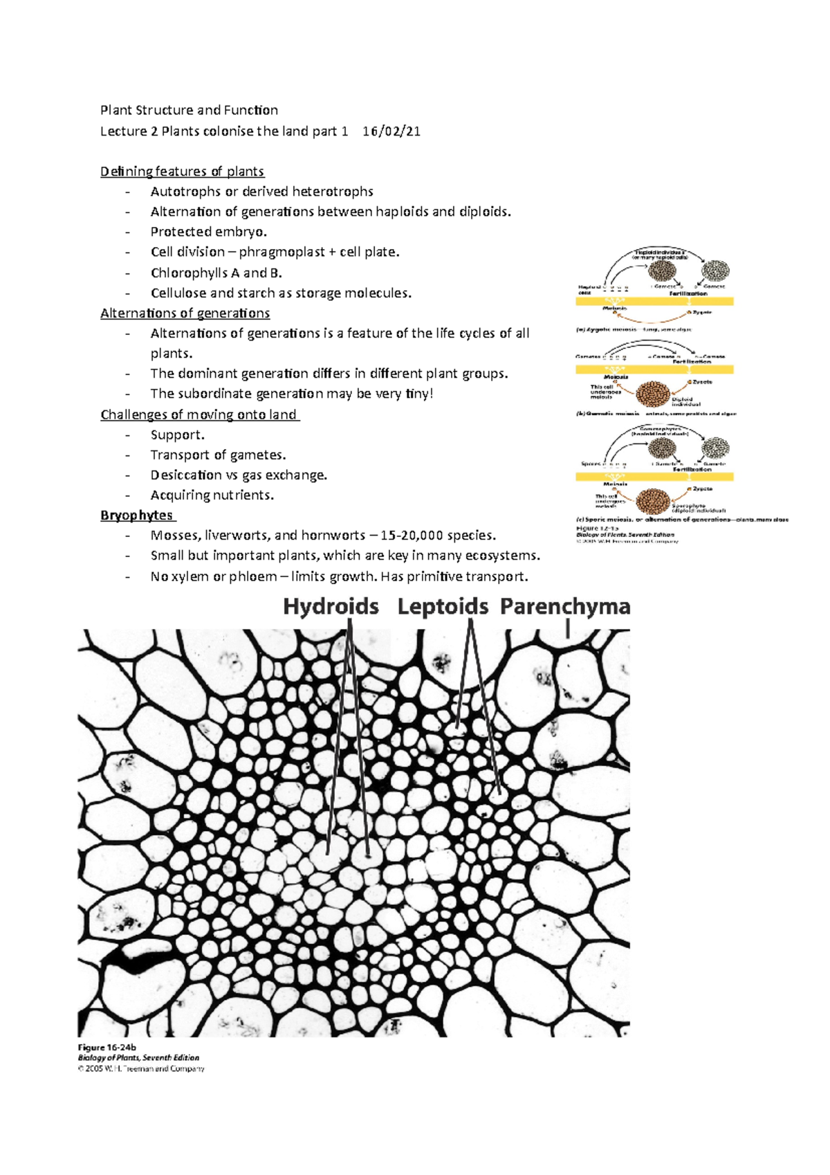 Plants colonise the land - Protected embryo. - Cell division ...