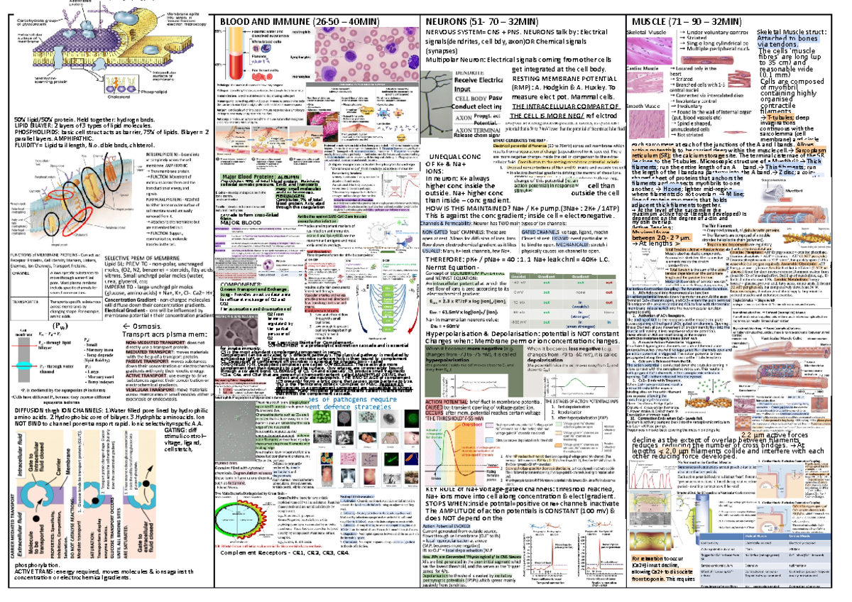 biosci 107 exam cheat sheet - Biology for Biomedical Science: Cellular ...