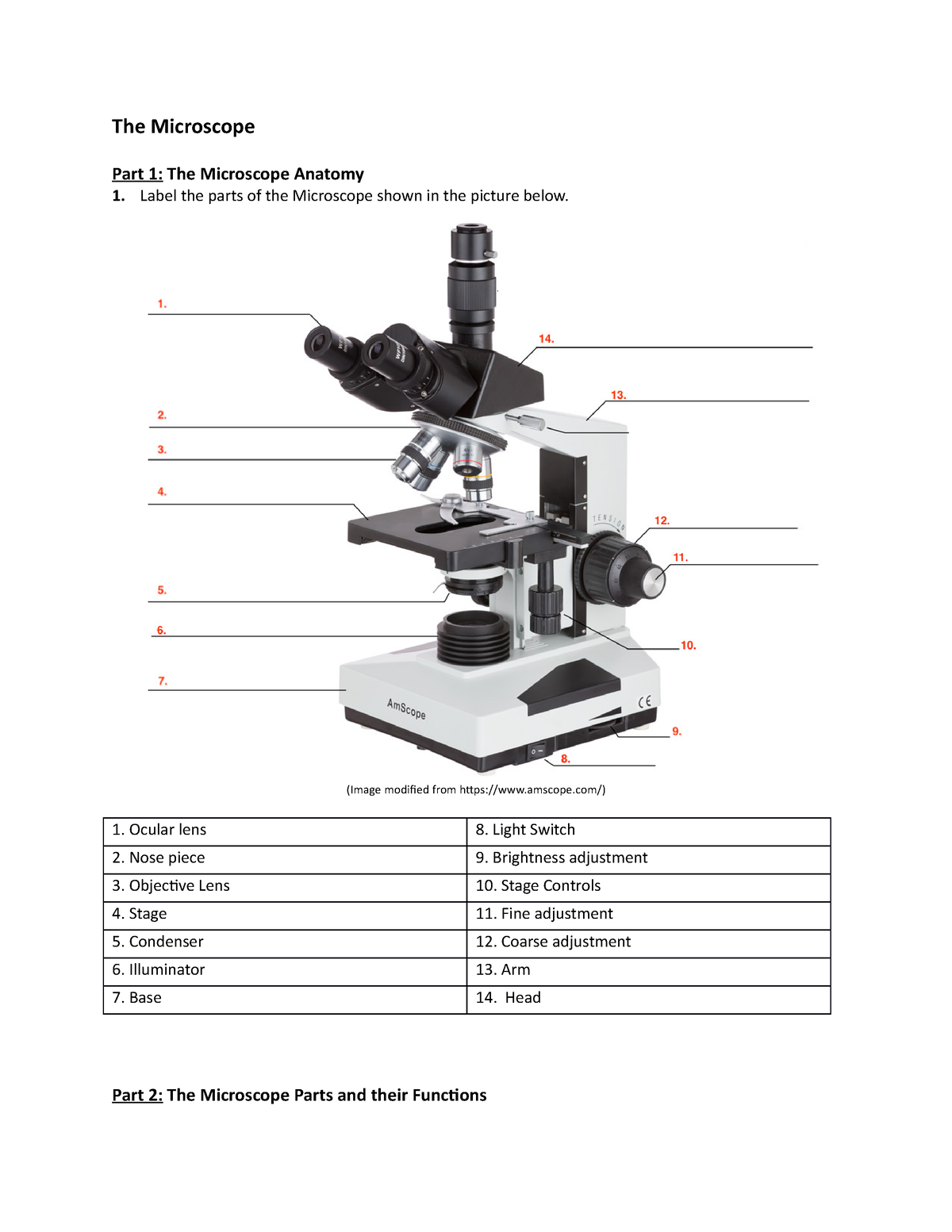 Activtiy Worksheet Microscope - The Microscope Part 1: The Microscope ...