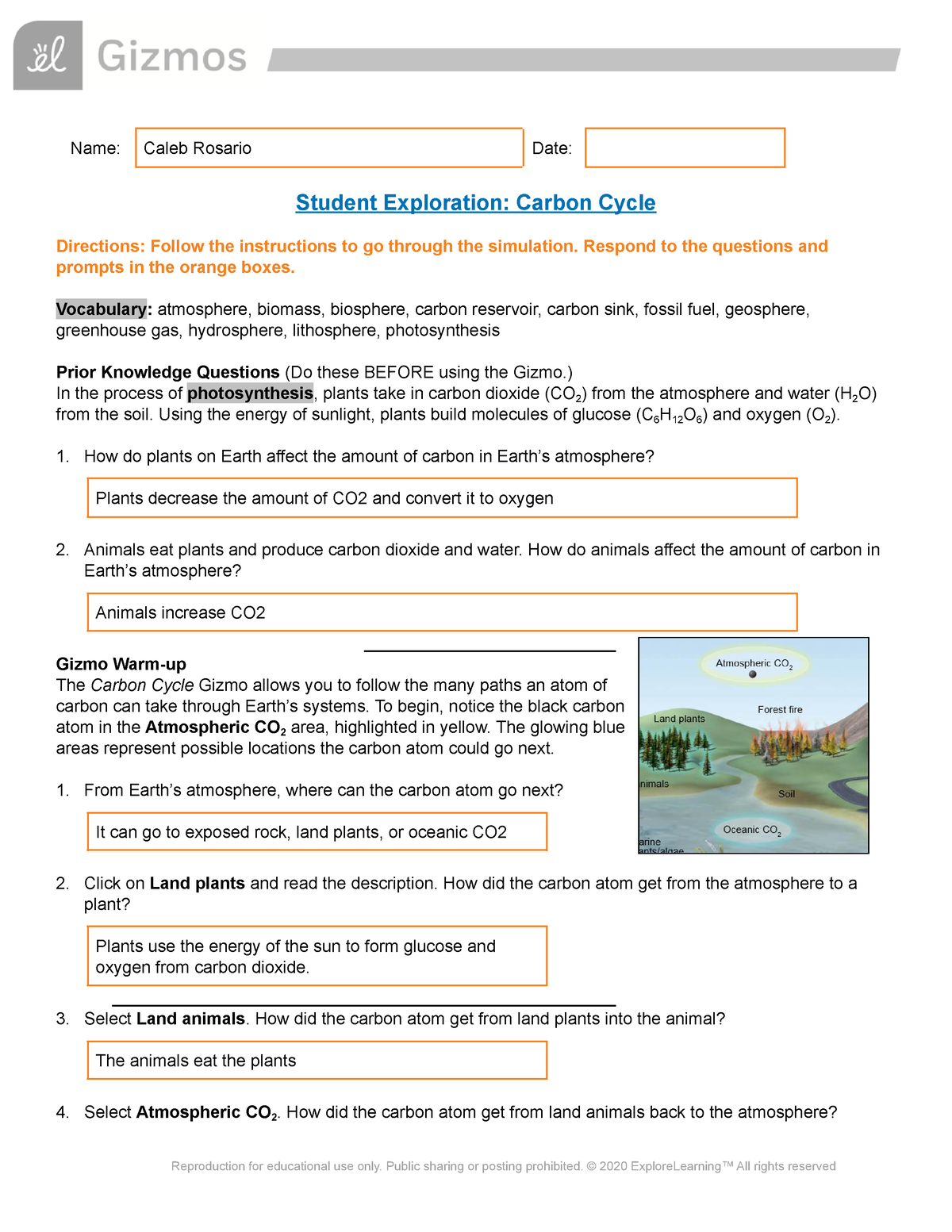 Carbon Cycle Gizmo Answer Sheet First Page Done Blaw Studocu