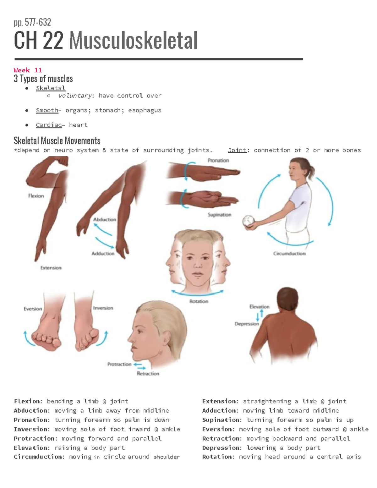 Chapter 22 Musculoskeletal Outline - Pp. 577-632 CH 22 Musculoskeletal ...