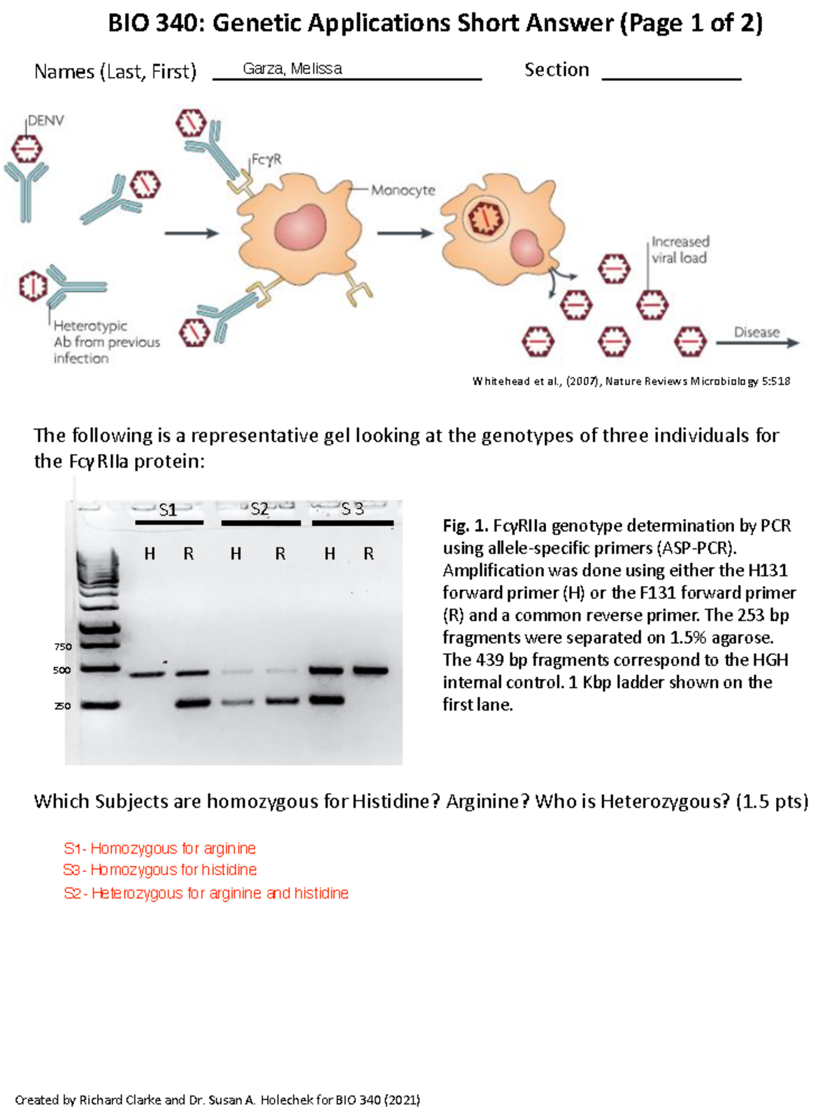 Recitation 12 In Class Activity-1 - BIO 340: Genetic Applications Short ...