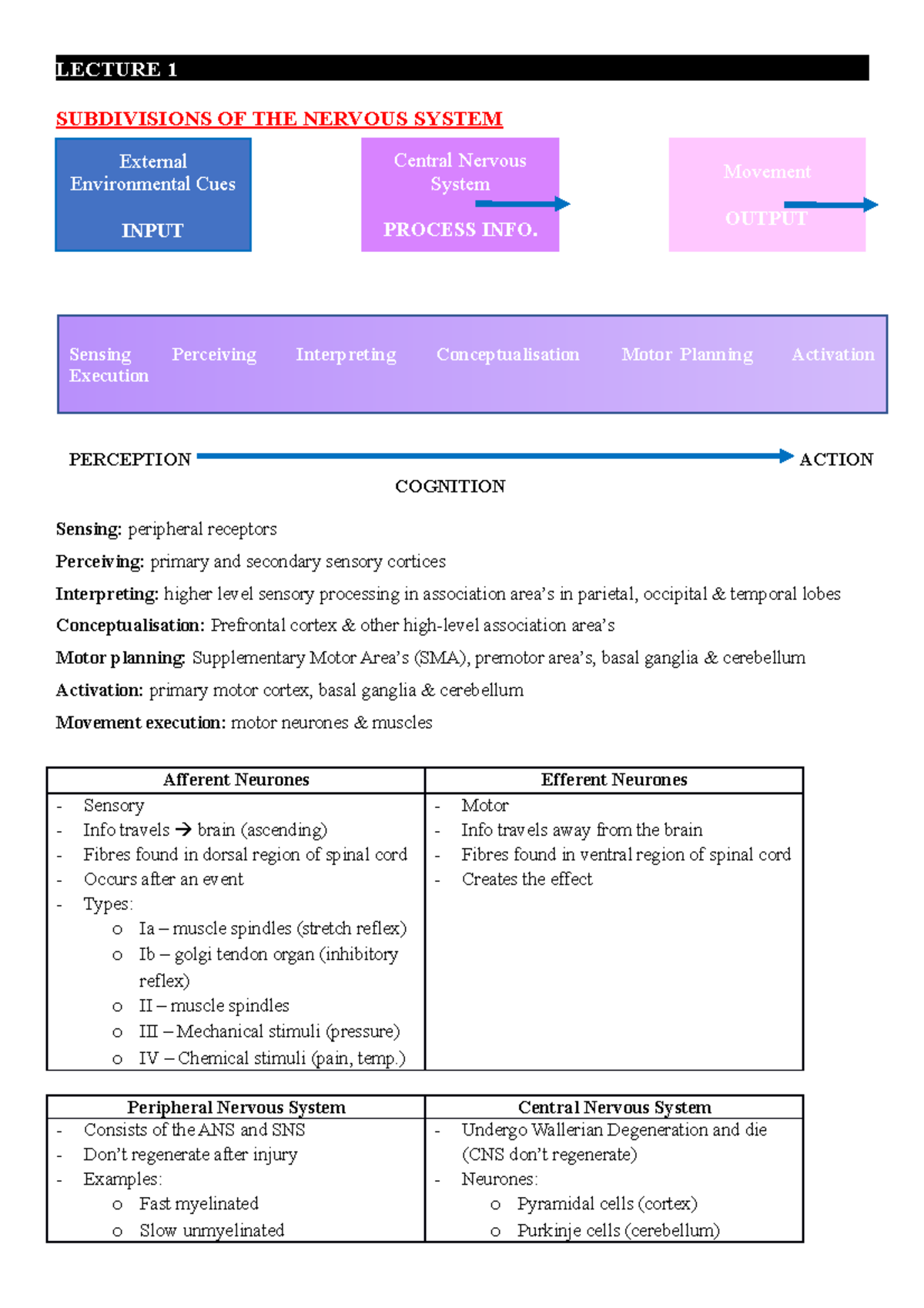 End of semester exam notes - LECTURE 1 SUBDIVISIONS OF THE NERVOUS ...