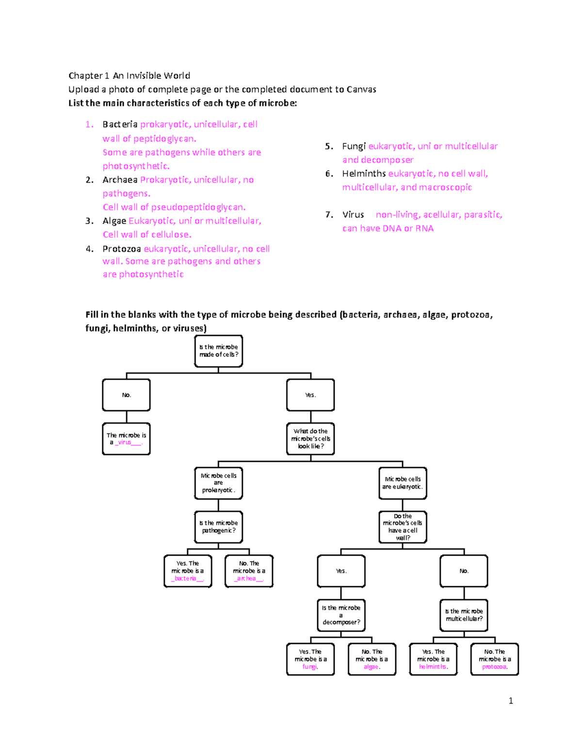 Chp 1 invisible world worksheet - 1 Chapter 1 An Invisible World Upload ...