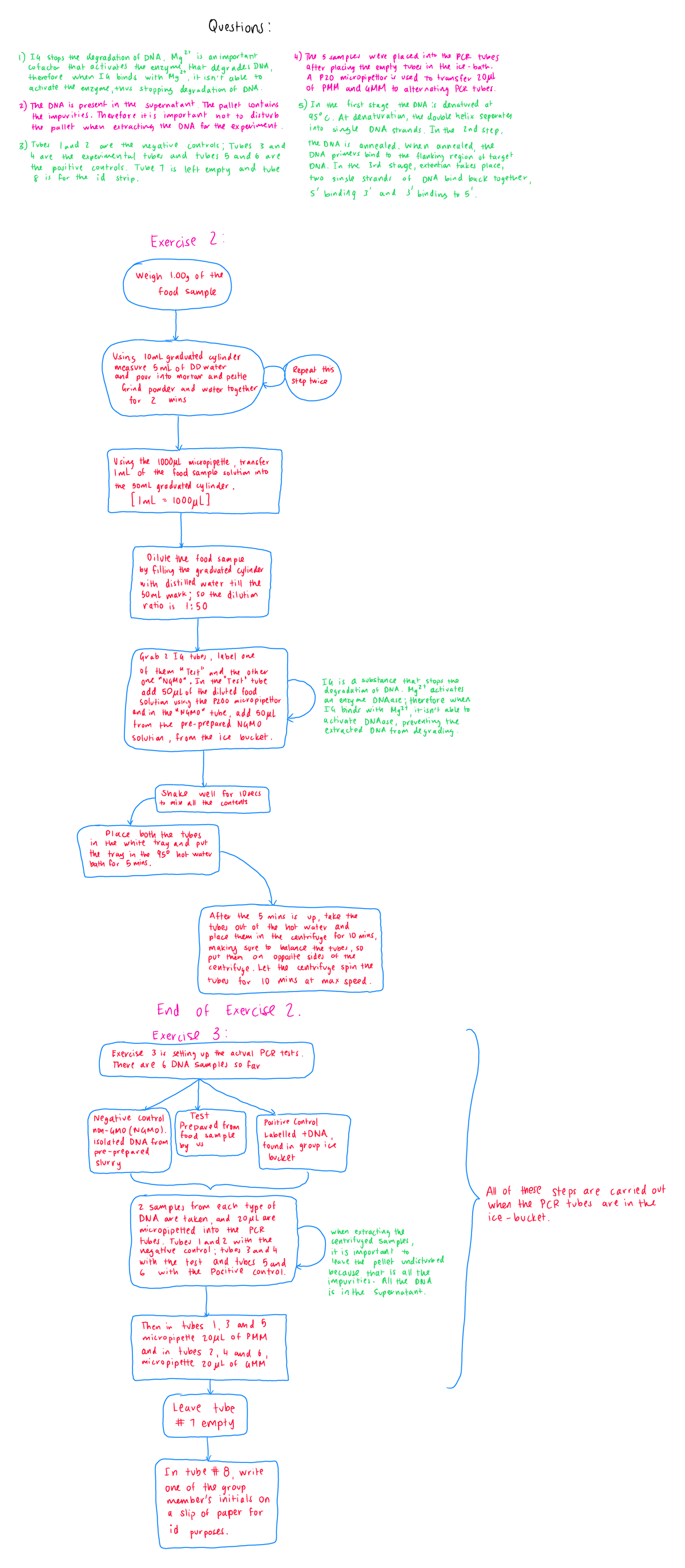 Lab 5 Flow Chart - Lab procedure with annotations - w ei gh 1. 00 g of