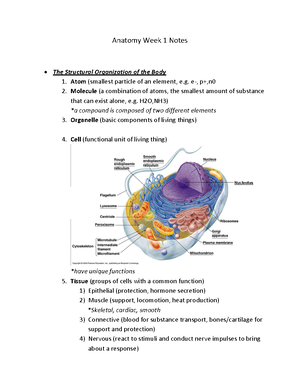 P3 Membrane transport notes - Human Anatomy and physiology 11th edition ...