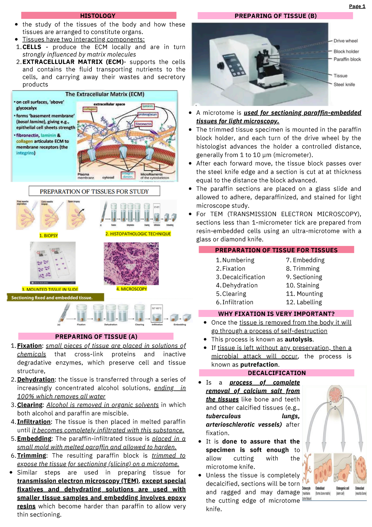 Fcking Histology - Reviewer - PREPARING OF TISSUE (A) Fixation: small ...